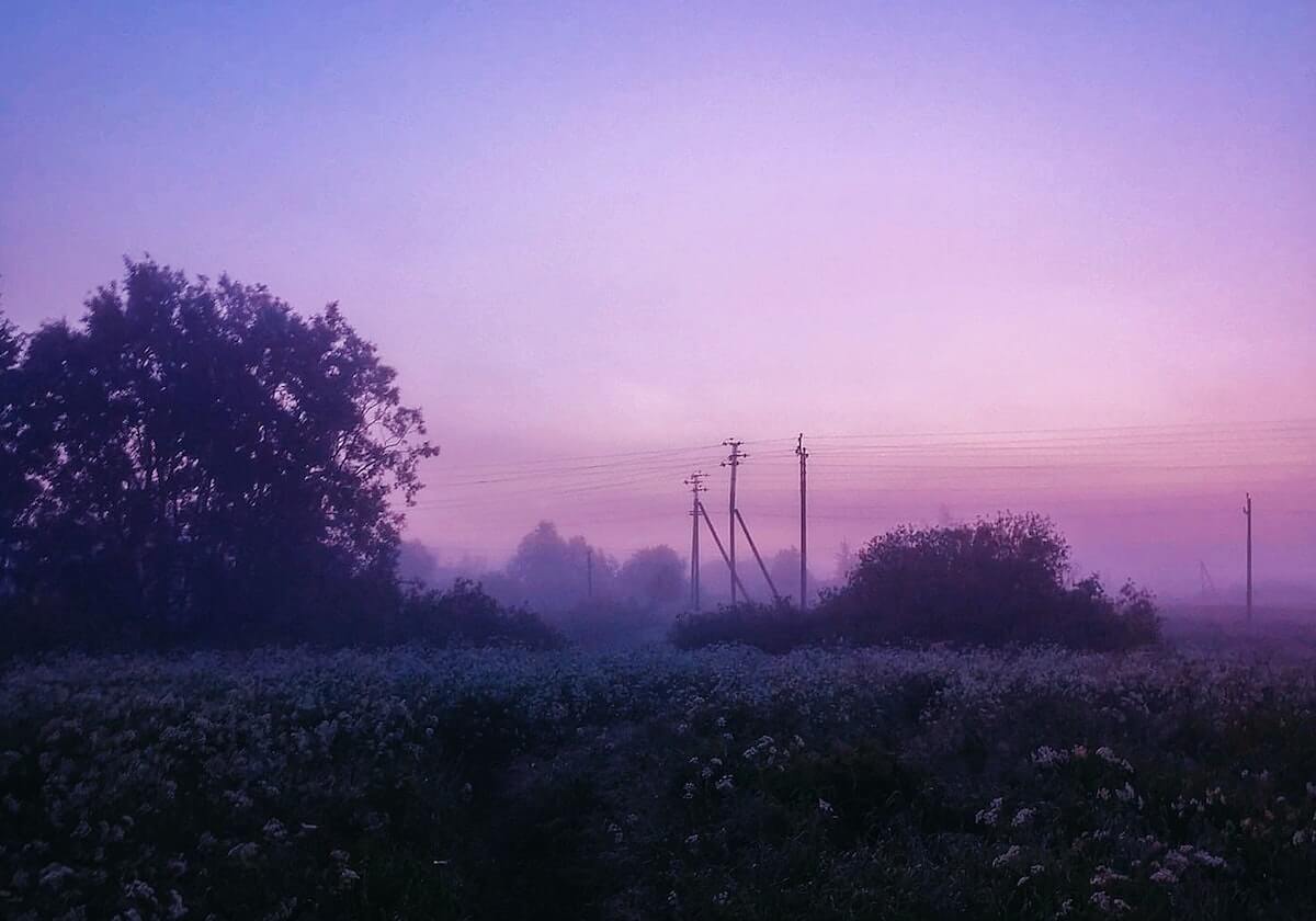 开云-WTT重庆冠军赛 王艺迪战胜刘杨子晋级女单八强