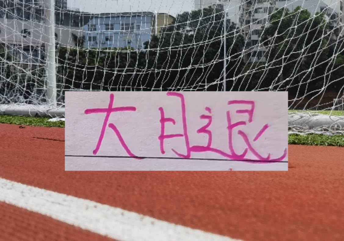 开云APP-海港也是少有一个赛季引进2个非洲外援 安佩姆会是丐版巴尔加斯吗